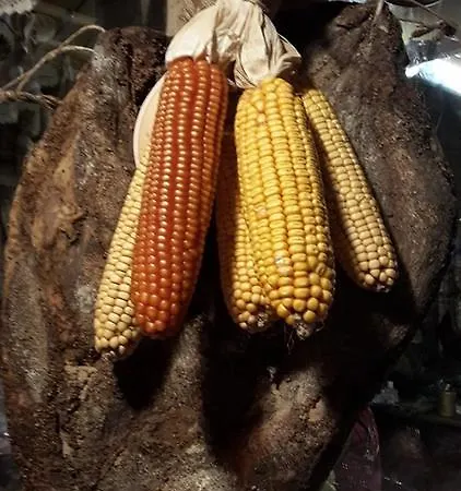 Residenza Contrada Tedesca Lägenhet Trento