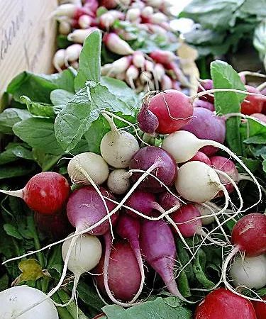 Lägenhet Residenza Contrada Tedesca Trento