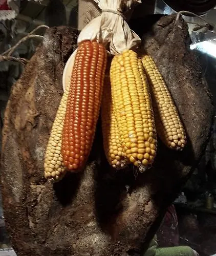 Residenza Contrada Tedesca Daire Trento